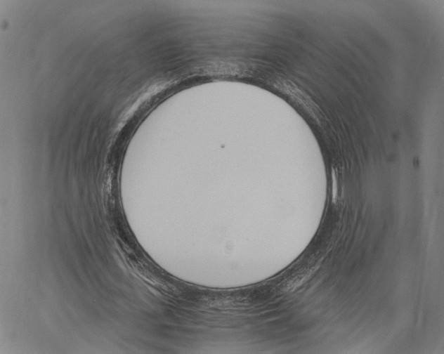 X0000062870723200602101651