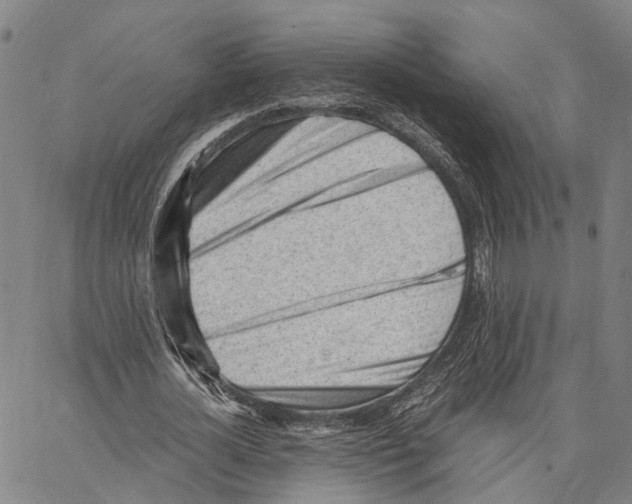 X0000062870724200602101651