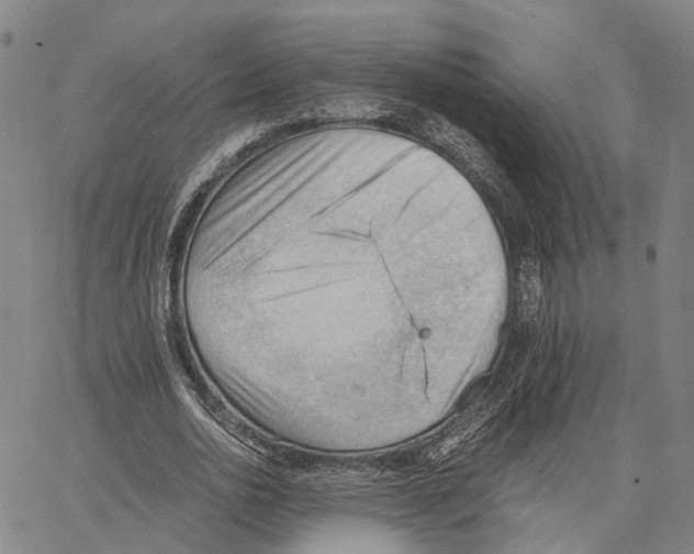 X0000062870726200602101651