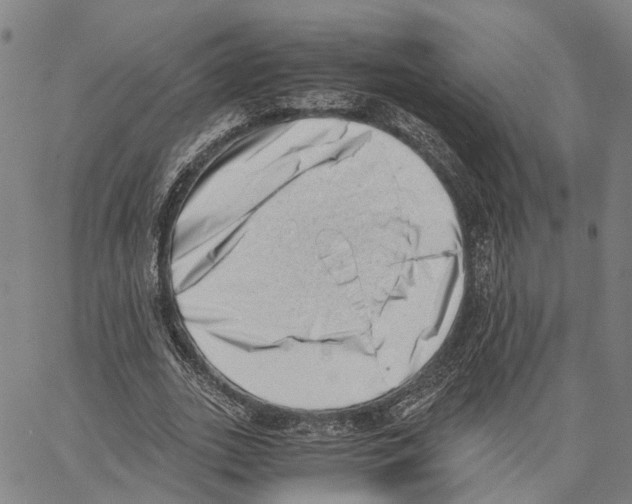 X0000062870727200602101651