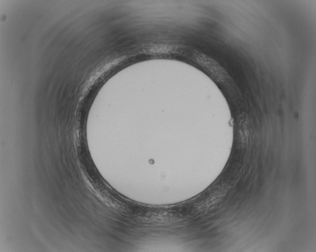 X0000062870728200602101651