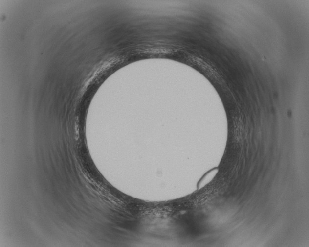 X0000062870731200602101651