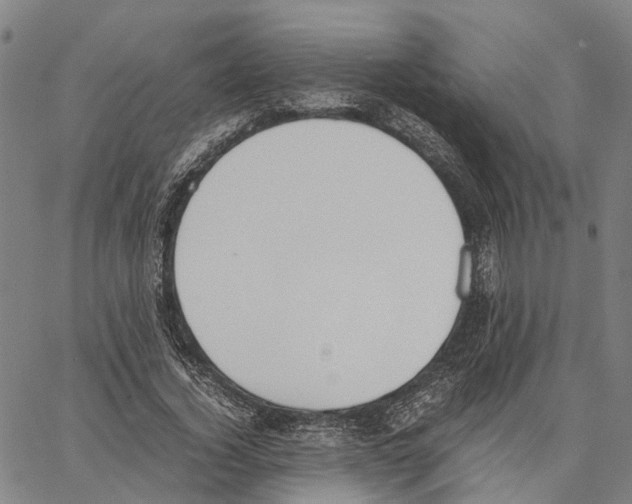 X0000062870732200602101651