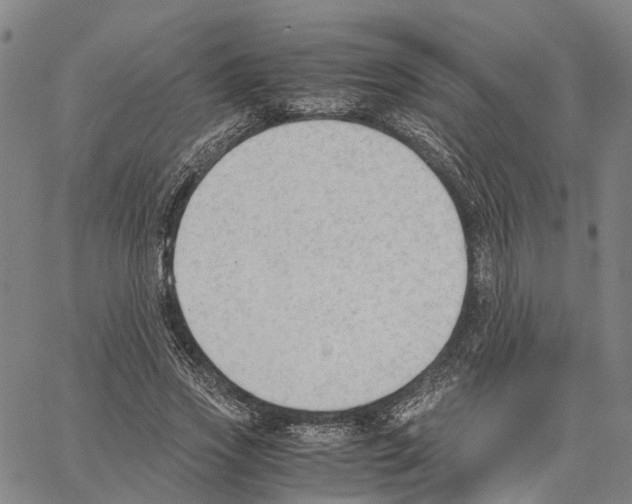 X0000062870733200602101651