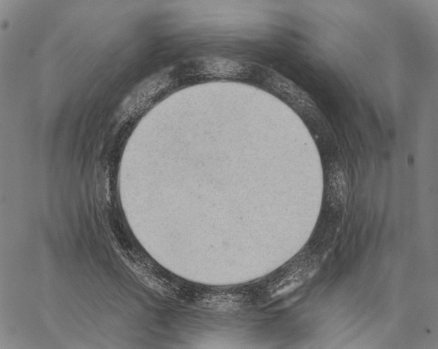 X0000062870734200602101651