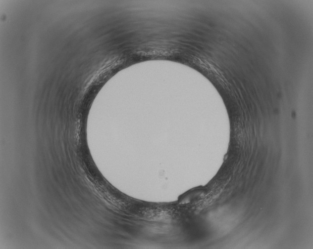 X0000062870735200602101651