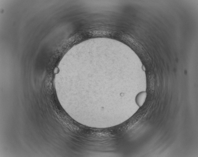 X0000062870737200602101651