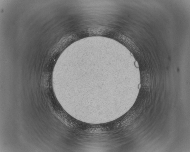 X0000062870738200602101651