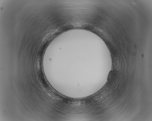 X0000062870740200602101651