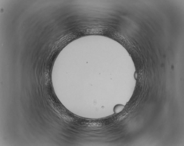 X0000062870741200602101651