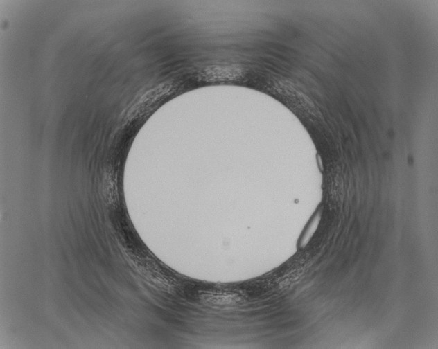 X0000062870743200602101651