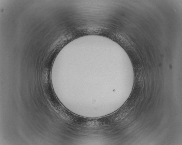 X0000062870744200602101651