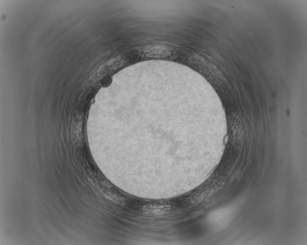 X0000062870745200602101651