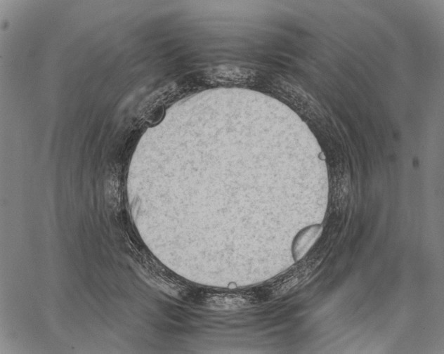 X0000062870749200602101651