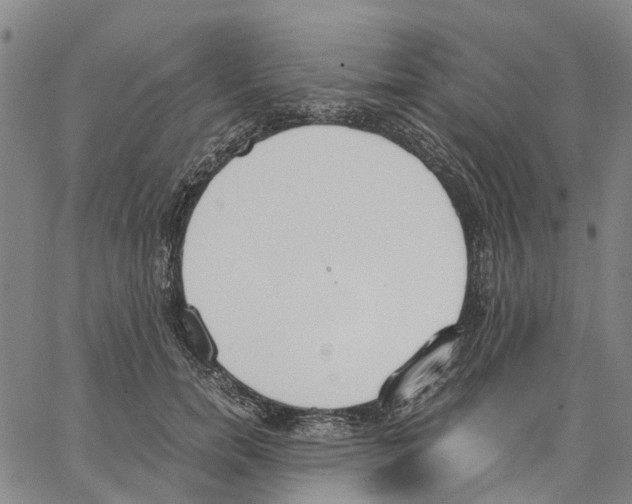 X0000062870750200602101651