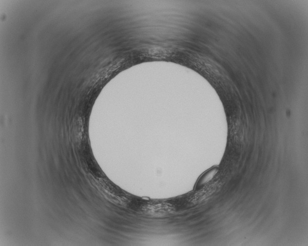 X0000062870752200602101651