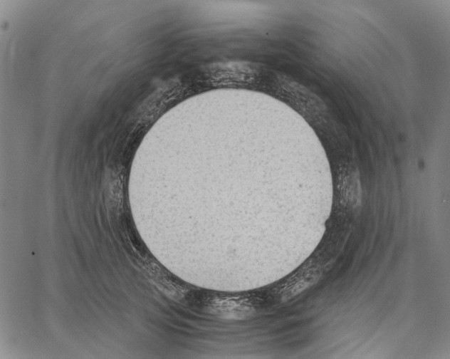 X0000062870753200602101651