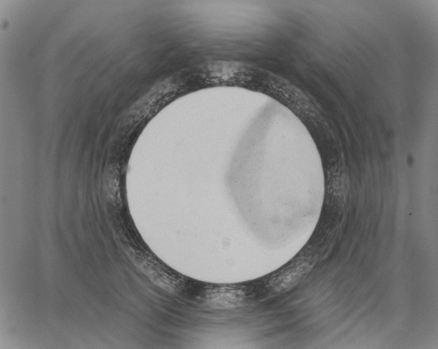 X0000062870754200602101651