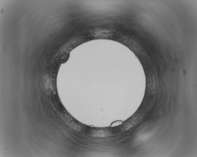 X0000062870755200602101651