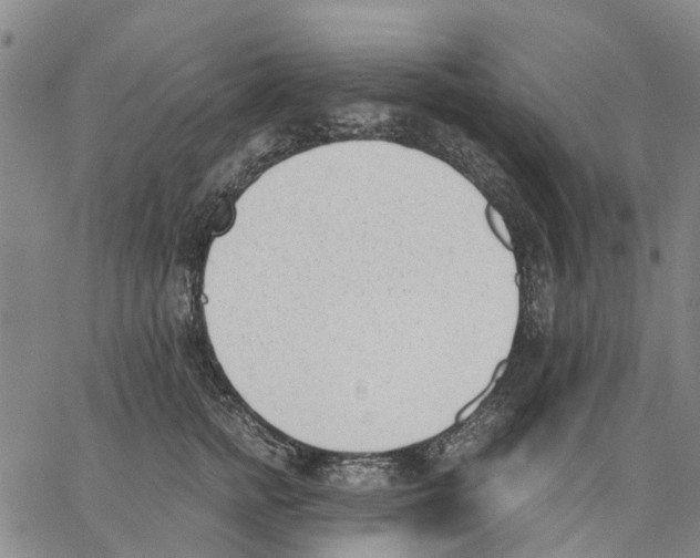 X0000062870758200602101651