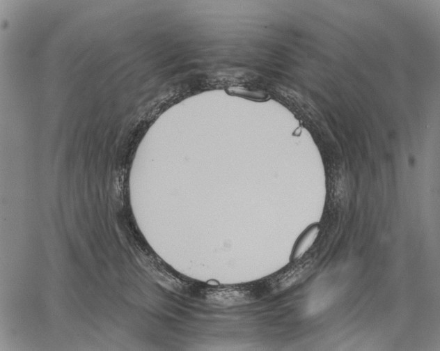 X0000062870759200602101651