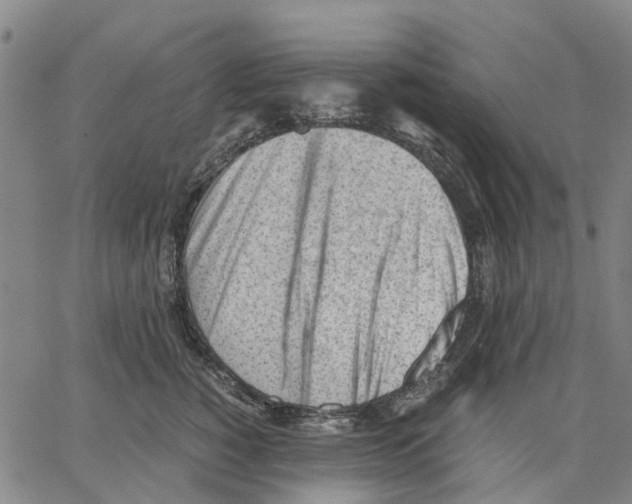 X0000062870760200602101651