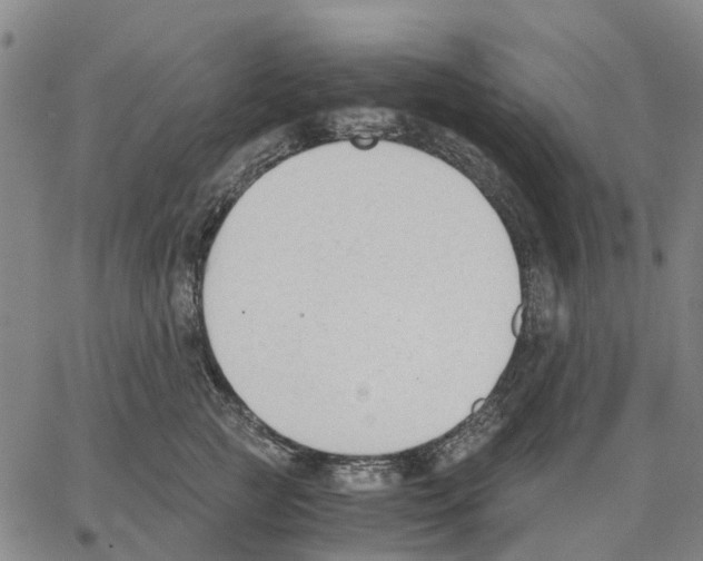 X0000062870761200602101651