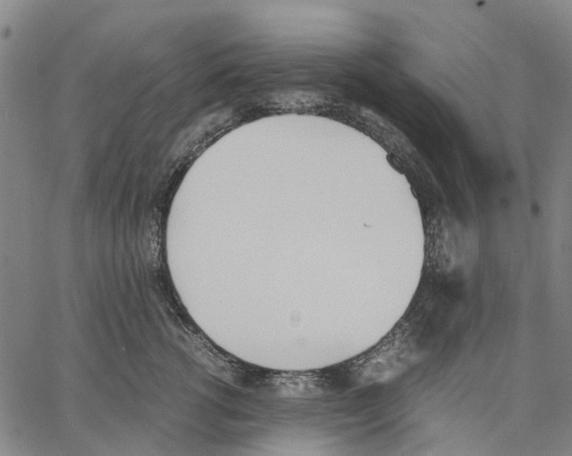 X0000062870762200602101651