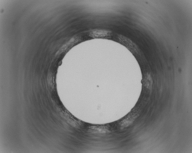 X0000062870763200602101651