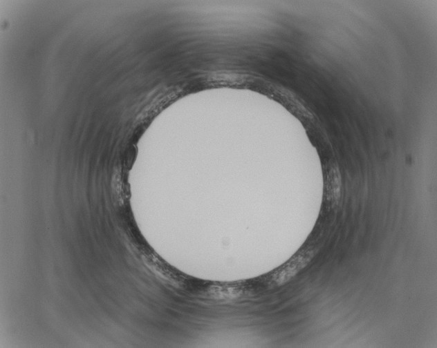 X0000062870764200602101651