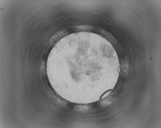 X0000062870765200602101651