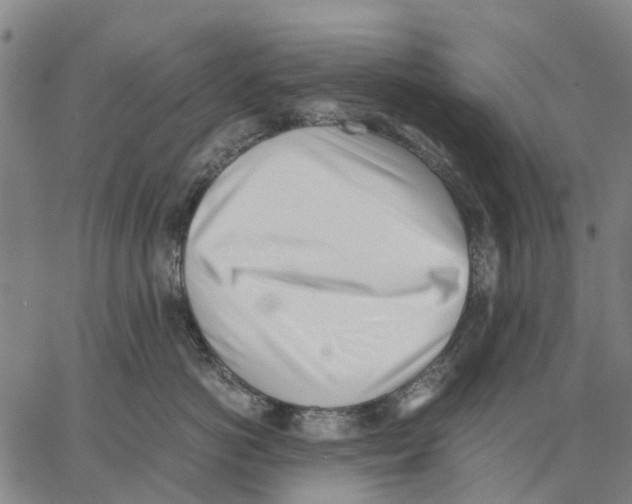 X0000062870766200602101651