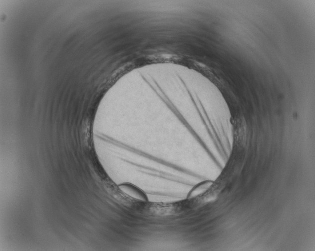 X0000062870767200602101651