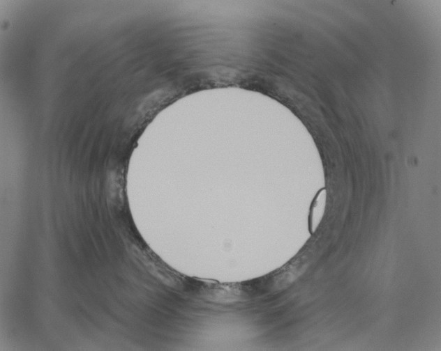 X0000062870768200602101651