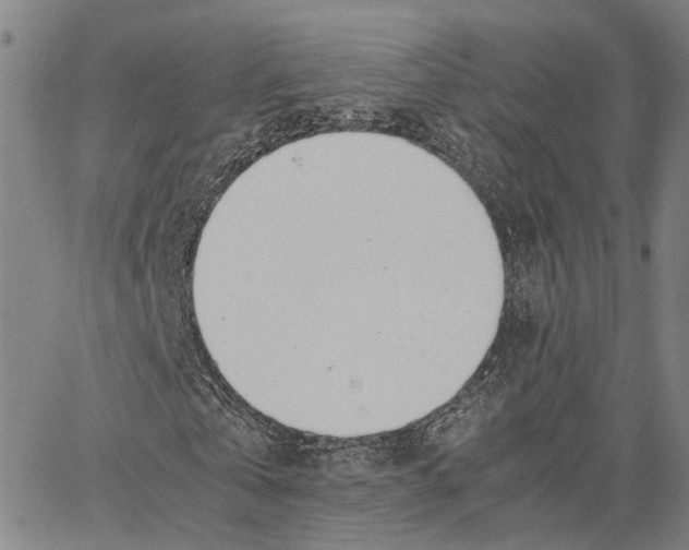 X0000062870769200602101651