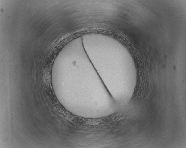 X0000062870773200602101650