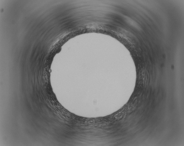 X0000062870776200602101650