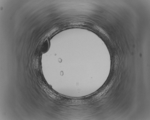 X0000062870777200602101650