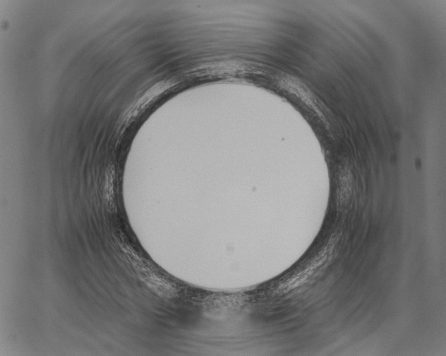 X0000062870778200602101650