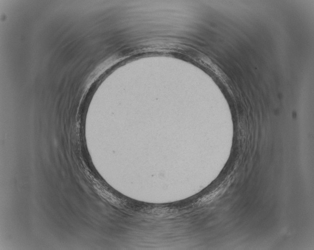 X0000062870779200602101650