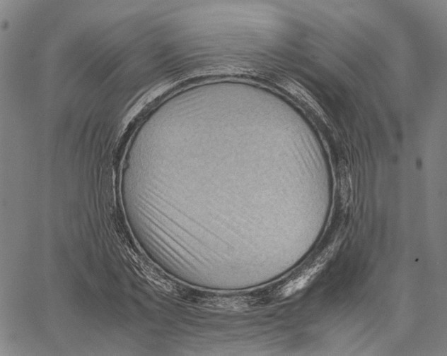 X0000062870781200602101650