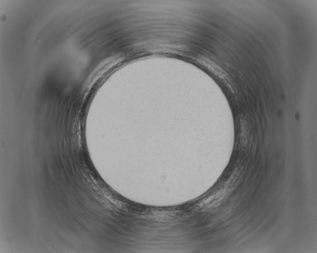 X0000062870782200602101650