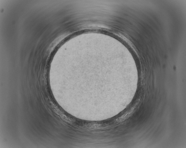 X0000062870783200602101650