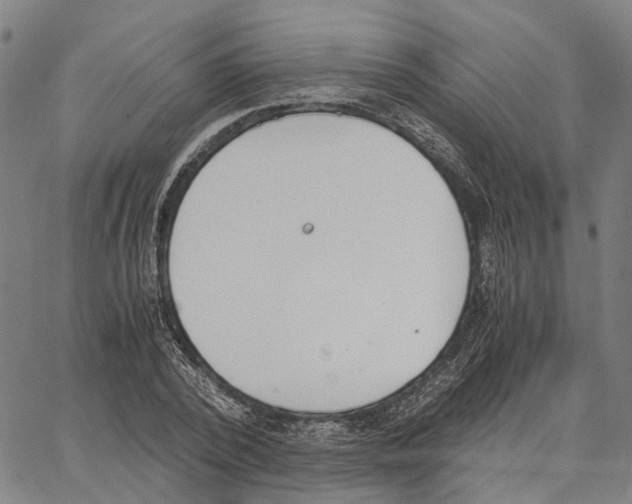 X0000062870784200602101650