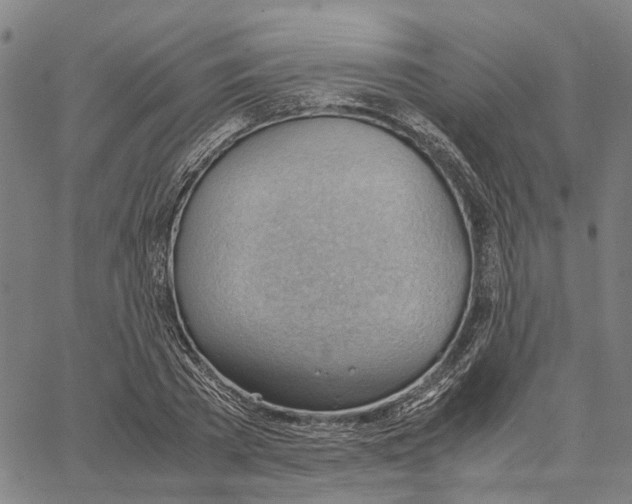 X0000062870785200602101650