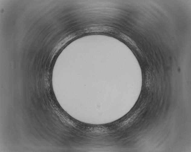 X0000062870786200602101650