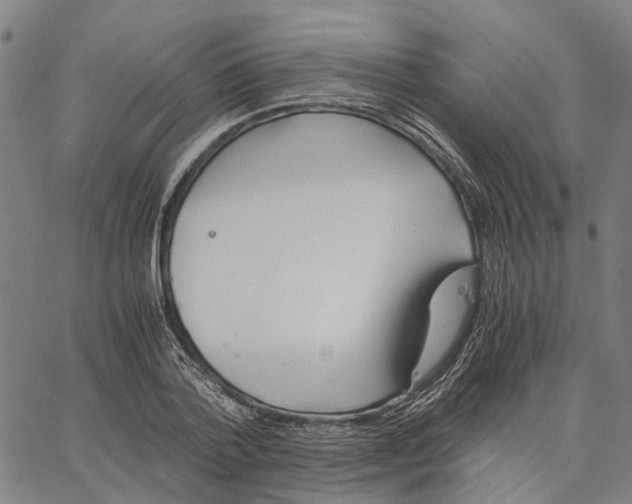 X0000062870788200602101650