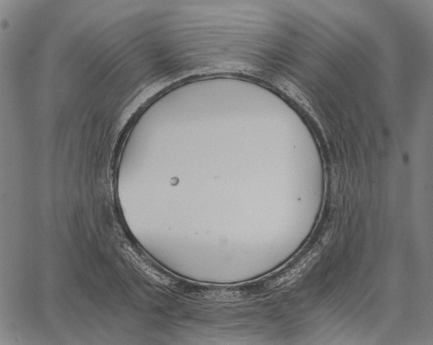 X0000062870789200602101650