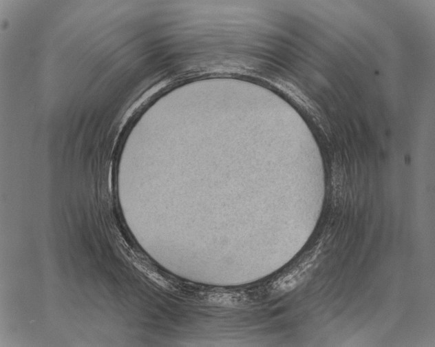 X0000062870790200602101650