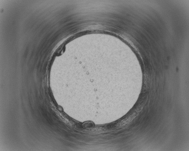 X0000062870791200602101650